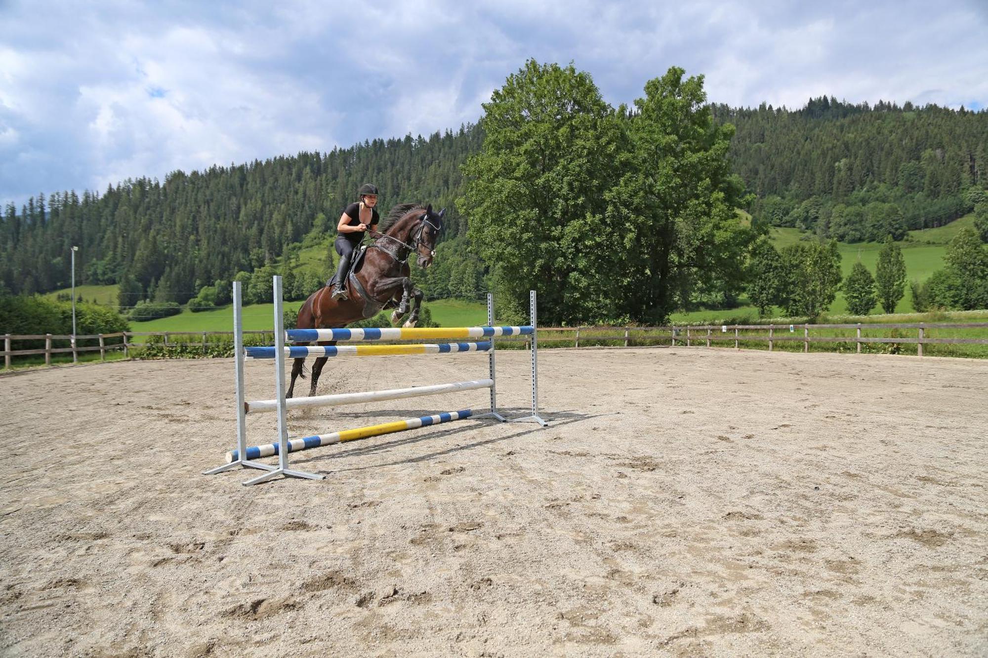 Ferienhof Kasparbauer Radstadt Ngoại thất bức ảnh